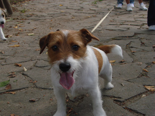 f0080105_23391036.jpg