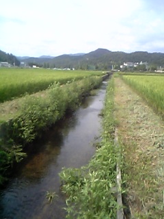 f0034007_17473425.jpg