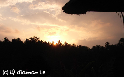 e0071409_18555735.jpg
