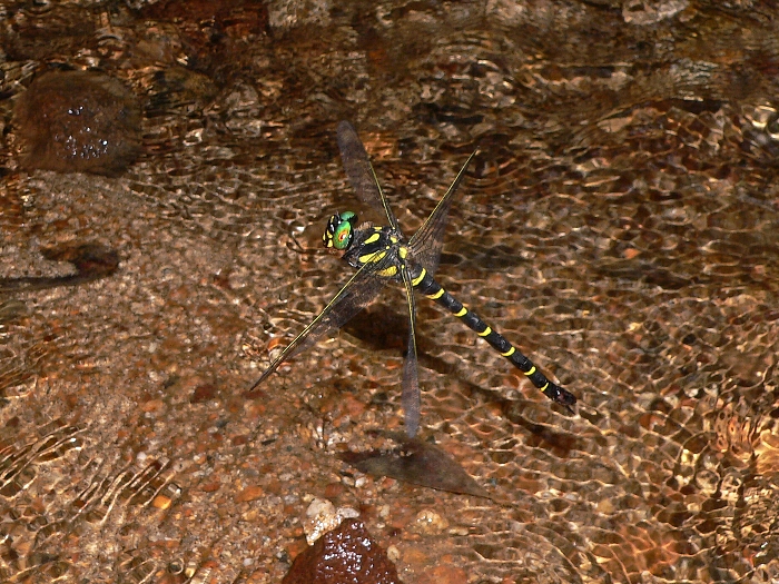 e0002314_22345313.jpg