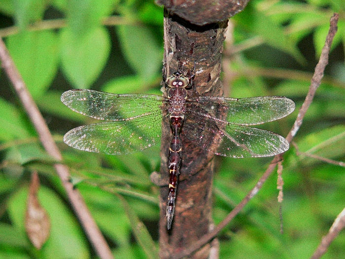 e0002314_22405067.jpg