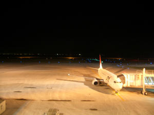c0062315_1435646.jpg