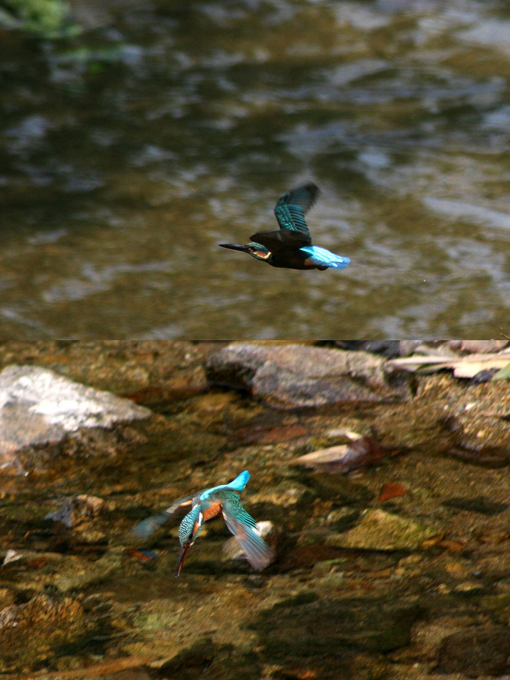 d0085715_0475312.jpg