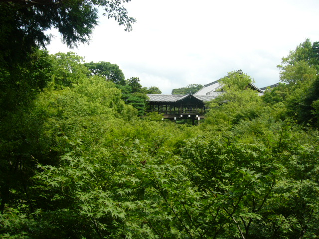 f0063920_1331998.jpg