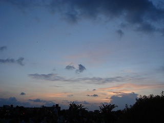 d0023323_3533910.jpg