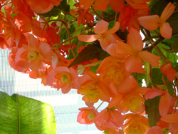 a0016029_12429.jpg