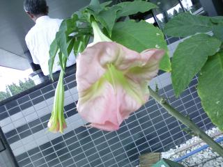 a0020929_23361814.jpg