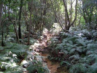c0077338_1445539.jpg