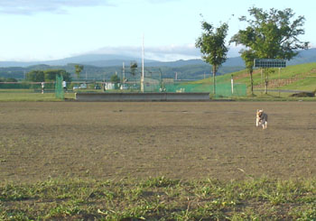 a0065741_0305884.jpg