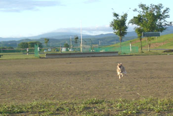 a0065741_0314297.jpg