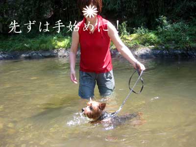 c0033145_2233599.jpg