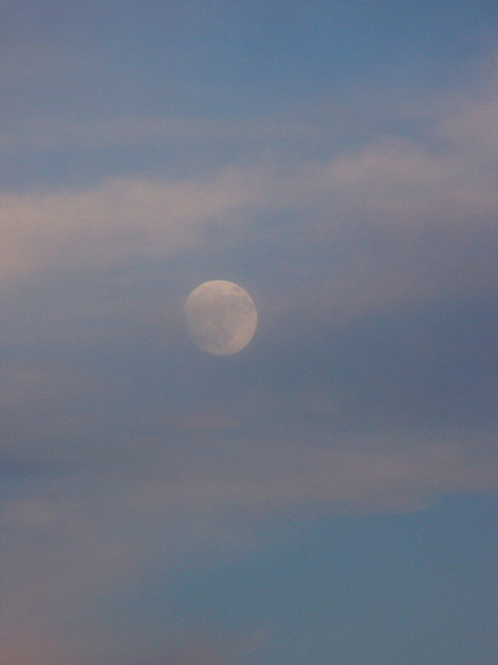 a0024250_065632.jpg