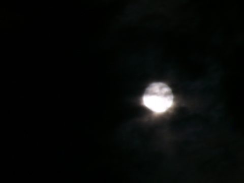 a0024250_071249.jpg