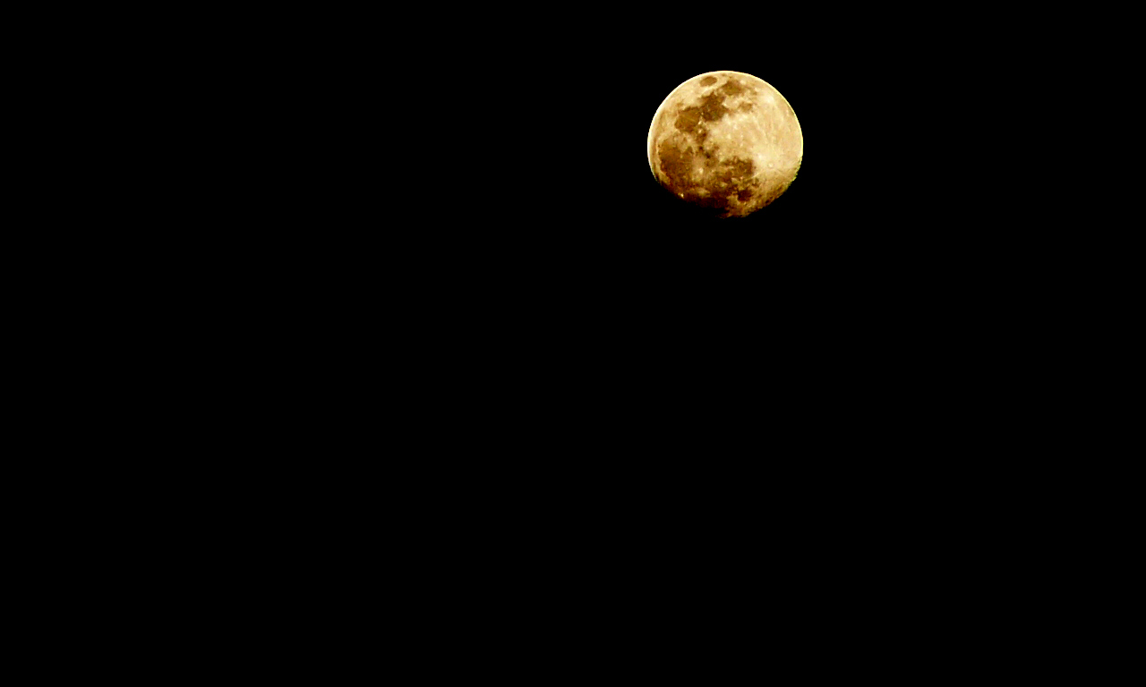 a0024250_072286.jpg