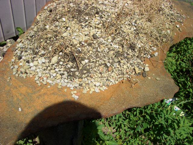 b0095760_9211696.jpg
