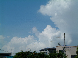 e0016164_17494516.jpg