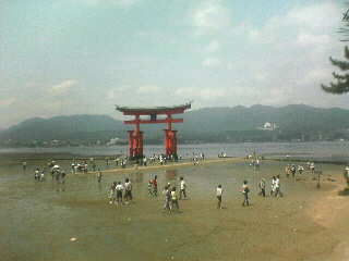b0047265_1247529.jpg