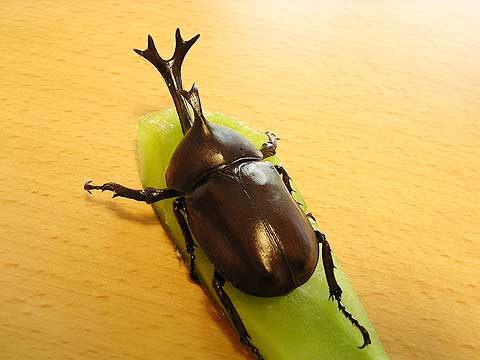 d0019169_22502336.jpg