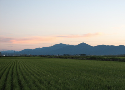 d0050472_1029546.jpg