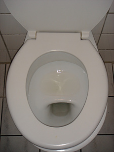 f0008573_221456.jpg