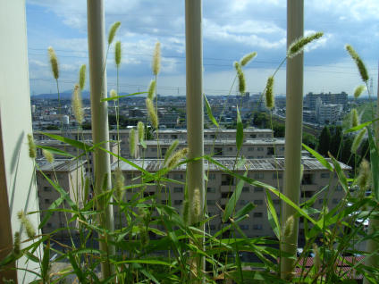 b0002879_22282817.jpg