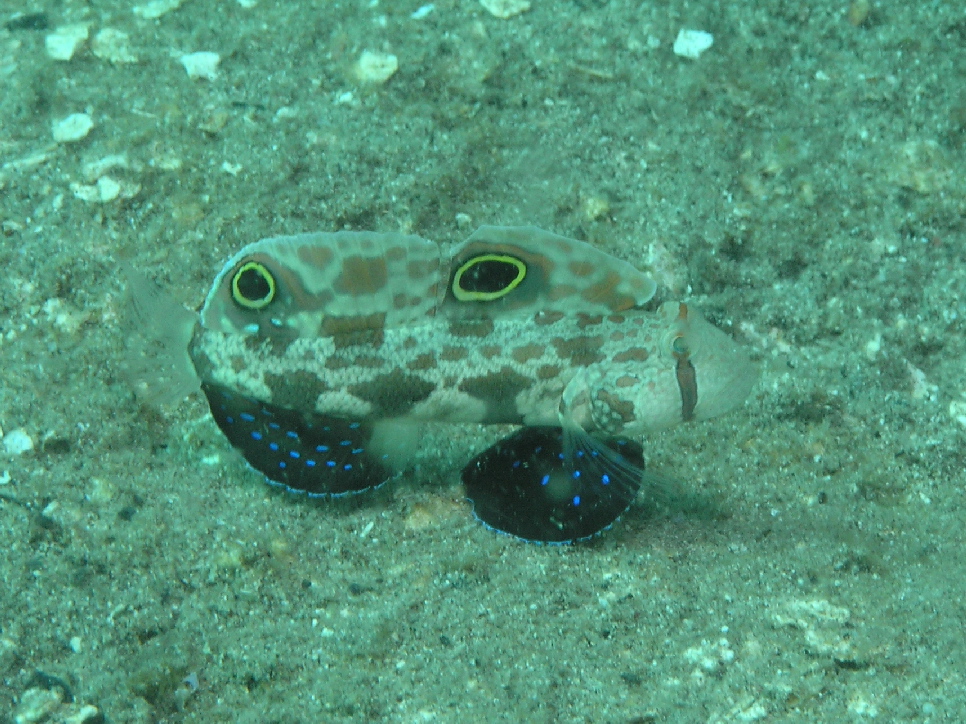 d0034291_8364660.jpg