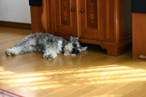 f0001895_2149250.jpg