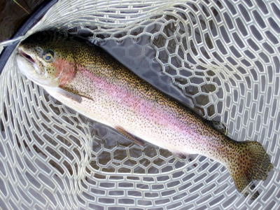 d0026200_21383811.jpg