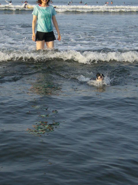 d0070702_1234533.jpg