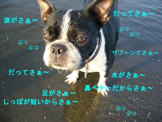 d0070702_12361910.jpg