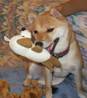 f0004309_2326369.jpg