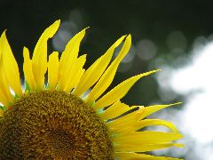 b0053414_2317110.jpg