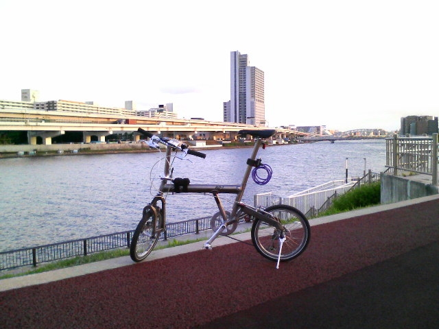 a0077616_19544060.jpg