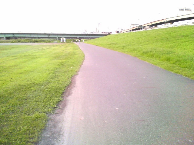 a0077616_19572519.jpg