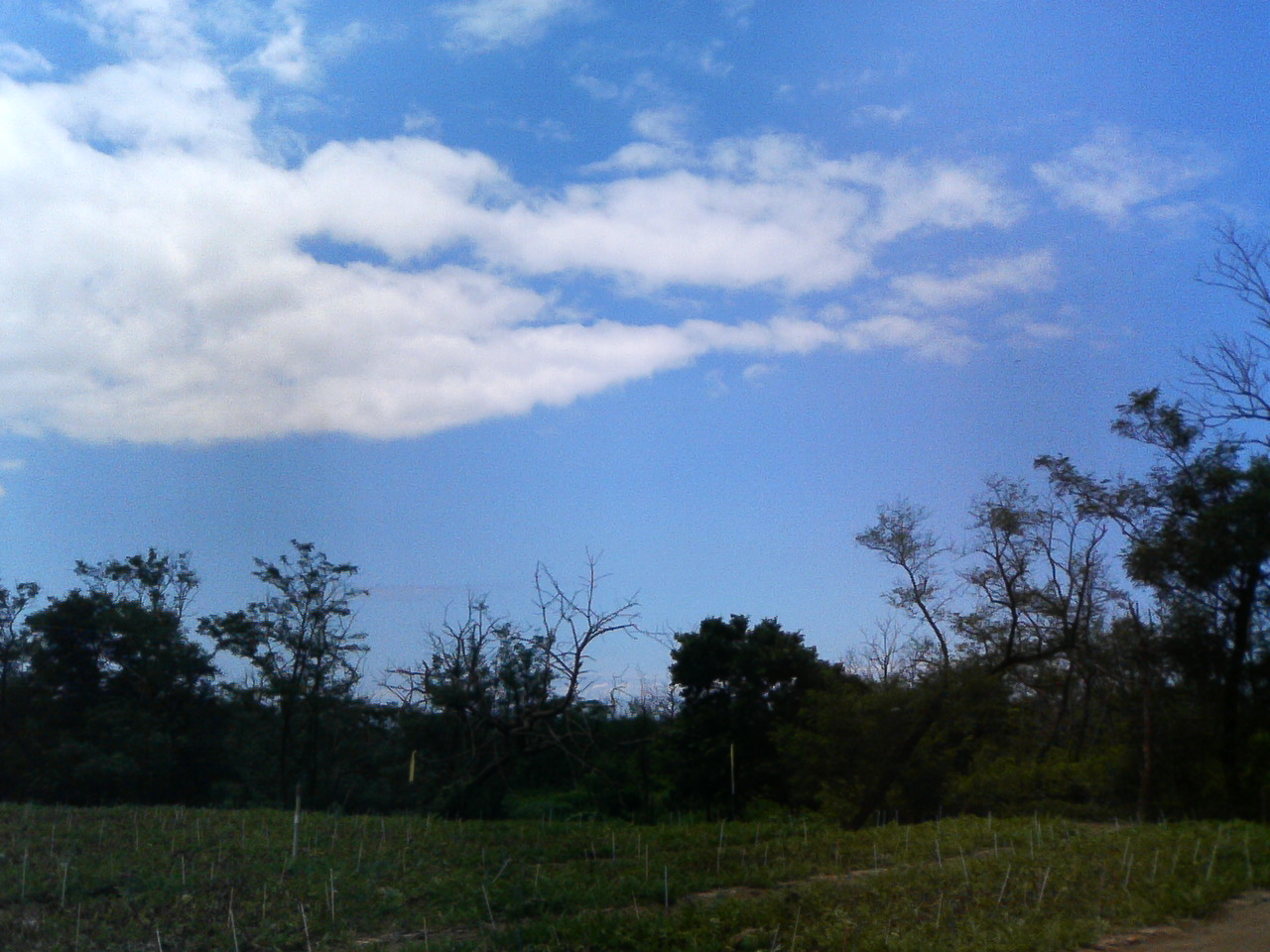 e0094920_1284568.jpg