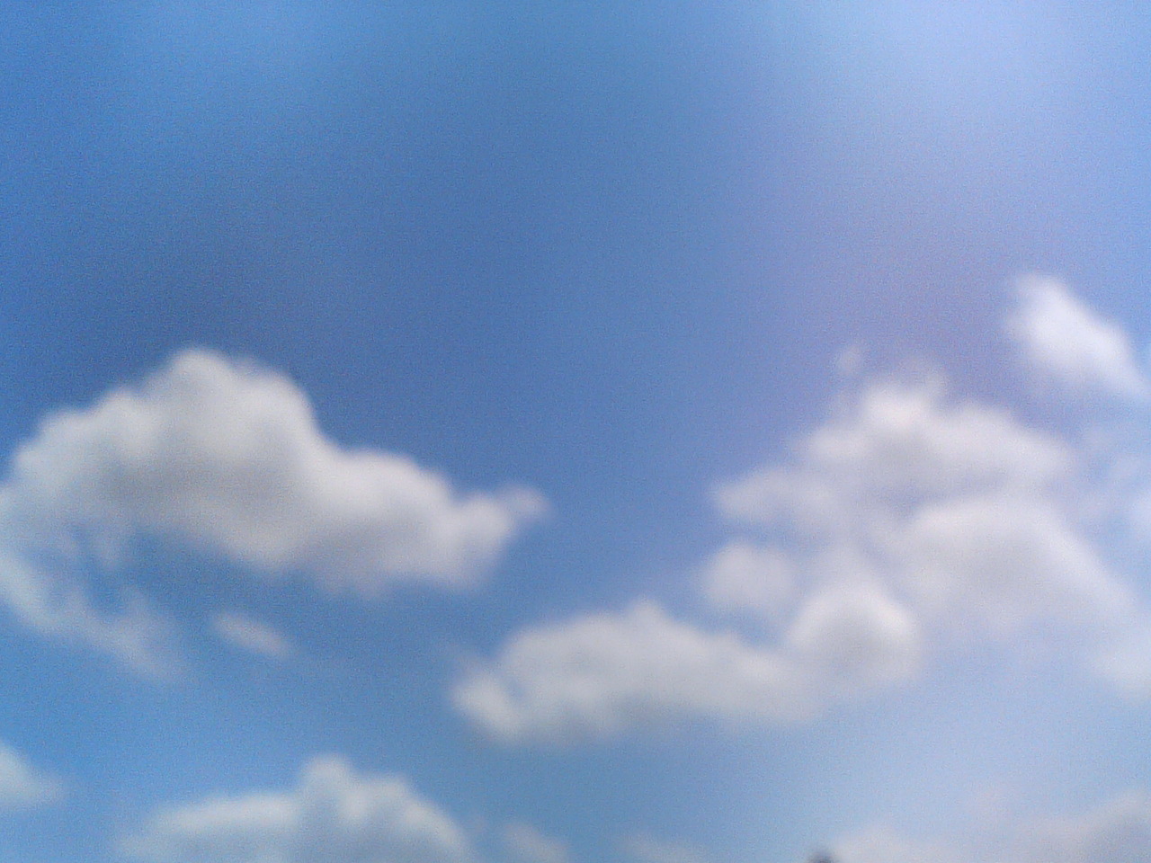 e0094920_131339.jpg