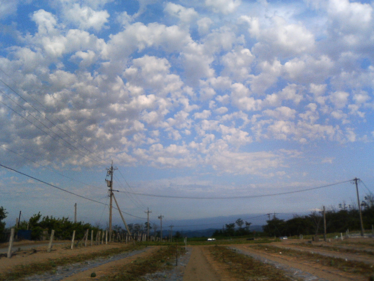 e0094920_132950.jpg