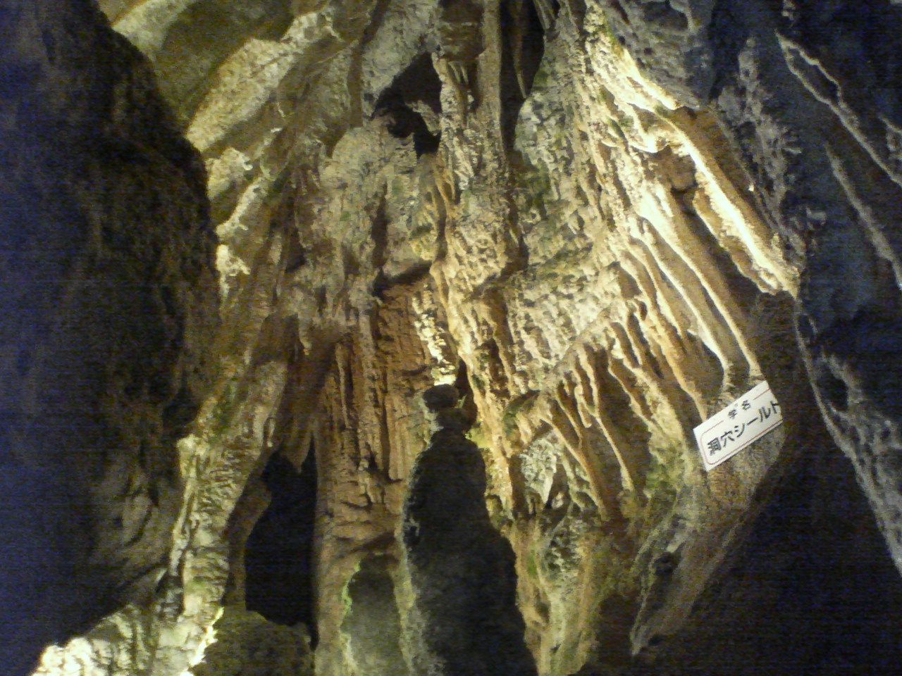 e0094920_1363391.jpg