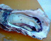 b0006423_22514671.jpg