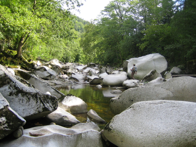 e0063923_22434978.jpg