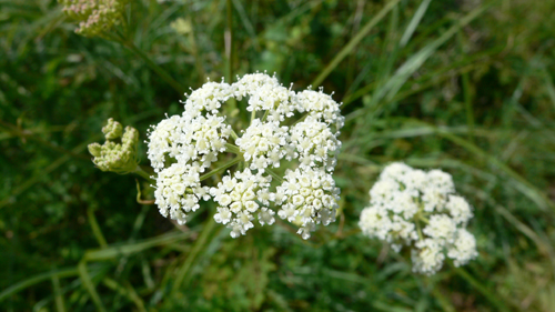 f0060424_941546.jpg