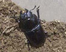 b0074925_215184.jpg