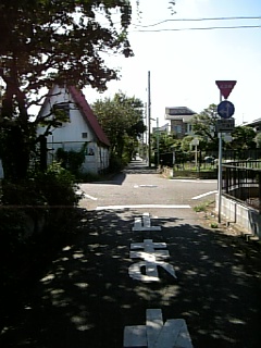 c0073025_1645356.jpg