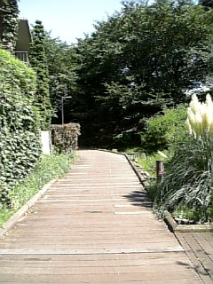 c0073025_165761.jpg