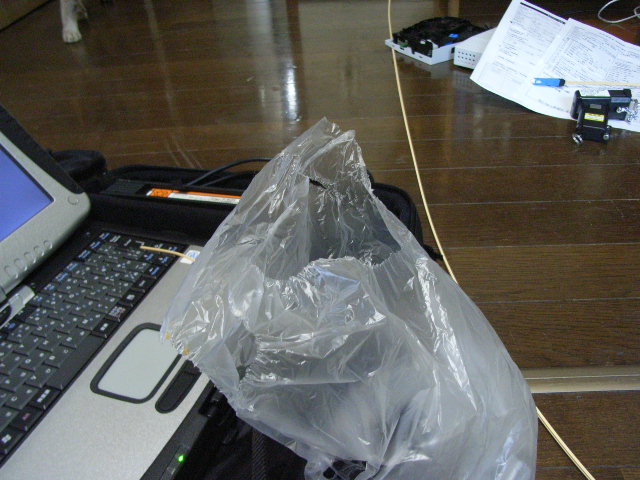 d0081025_1971428.jpg