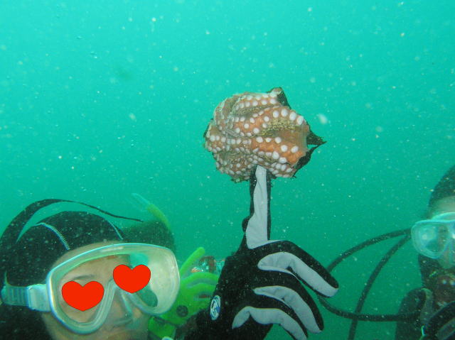 c0034029_22593963.jpg