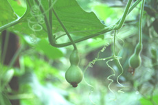 f0029536_23435053.jpg