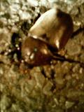a0048040_22273813.jpg