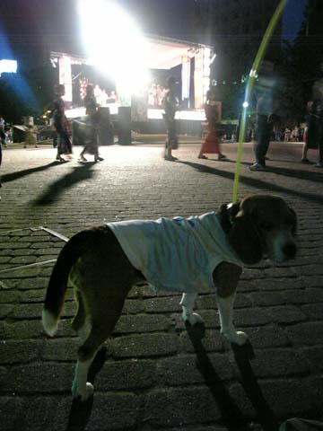 a0042044_034567.jpg