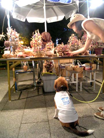 a0042044_036868.jpg